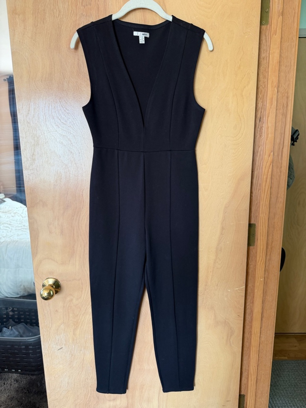 Amuse Society Black Sleeveless V-Neck Jumpsuit